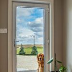 all glass entrance door with family dog looking inside